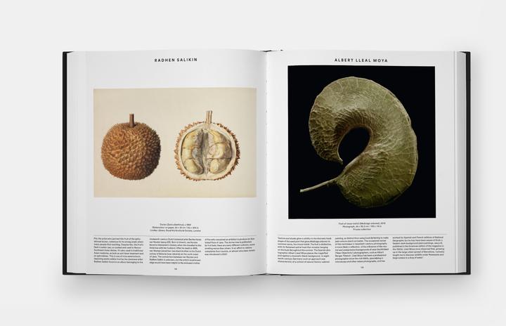 Produktbild Plant: Exploring the Botanical World (Englisch, Phaidon Editors, 2016)
