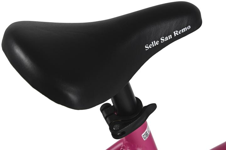 Actual product image WYLD Kinderfahrrad Girls 24" Mistral 18 Gänge RH 38 cm - Ab 8 Jahre (24")