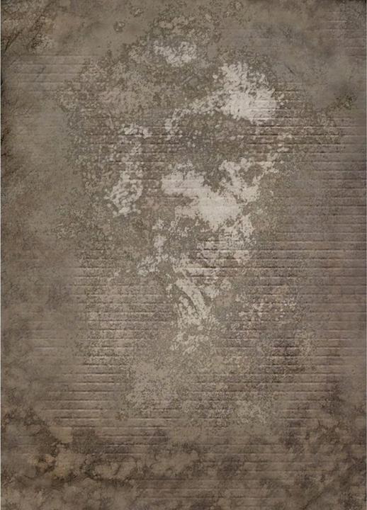 Westcott Weathered Wall (152.40 cm, 213.40 cm)
