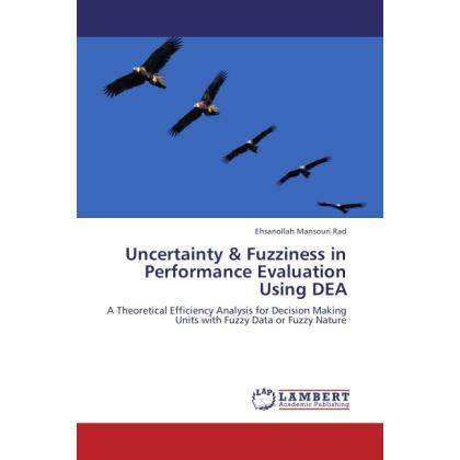 Uncertainty & Fuzziness in Performance Evaluation Using DEA, Fachbücher