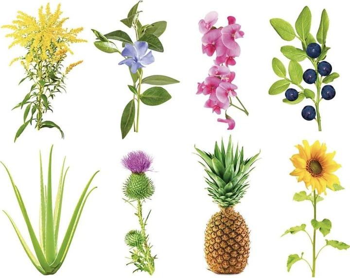 Image du produit Click and Grow Cultivez n'importe quoi (Germe de bombe)