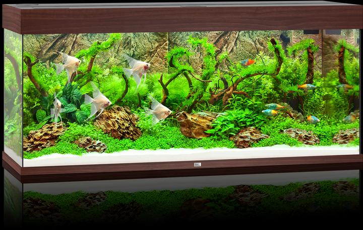 Immagine prodotto Juwel Aquarium Rio (240 l)