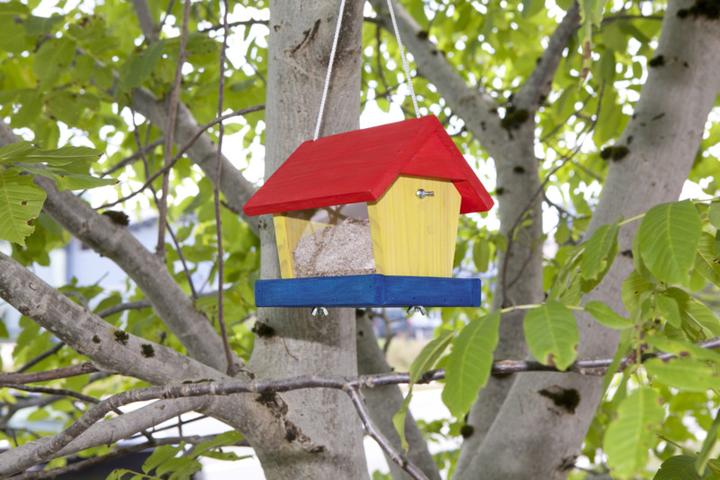 Produktbild Windhager Woodpecker