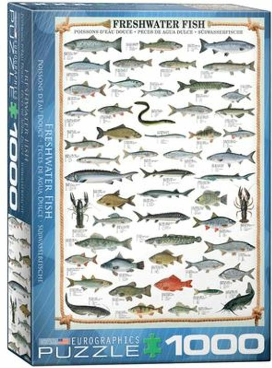 Produktbild Eurographics Süsswasserfische (1000 Teile)