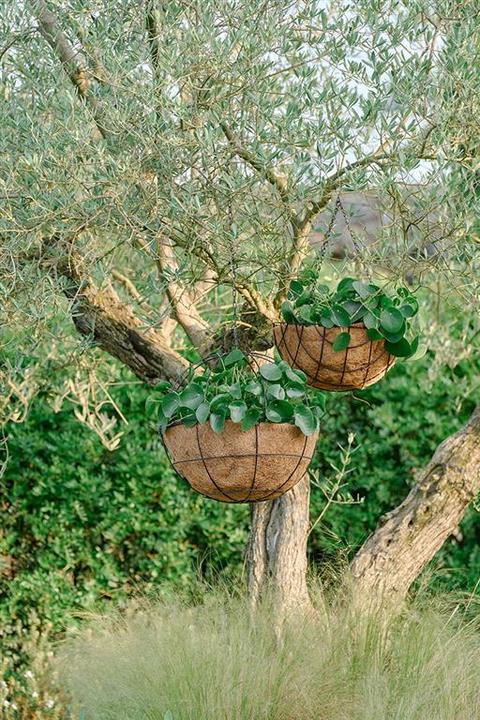 Actual product image Herstera Hanging basket
