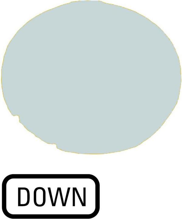 Actual product image Eaton Button lens, flat white, DOWN 218332