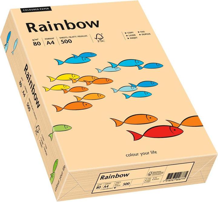 Actual product image Papyrus Rainbow (80 g/m², 500 x, A4)