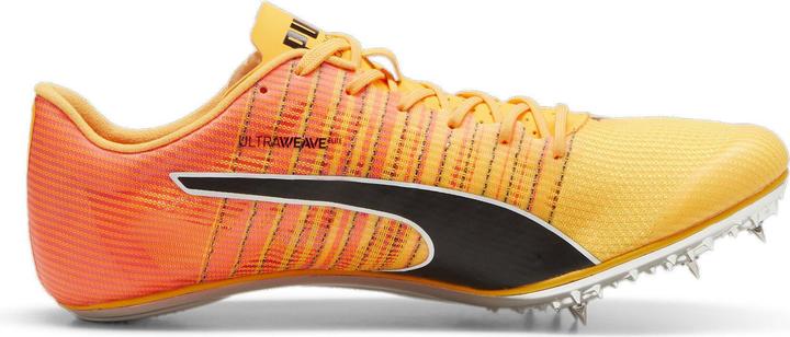 Actual product image Puma evoSPEED BRUSH 6 (40.5)