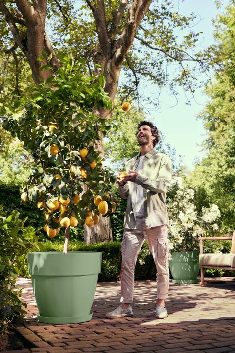 Produktbild Elho Vibia Campana Rund (47 x 40 cm)