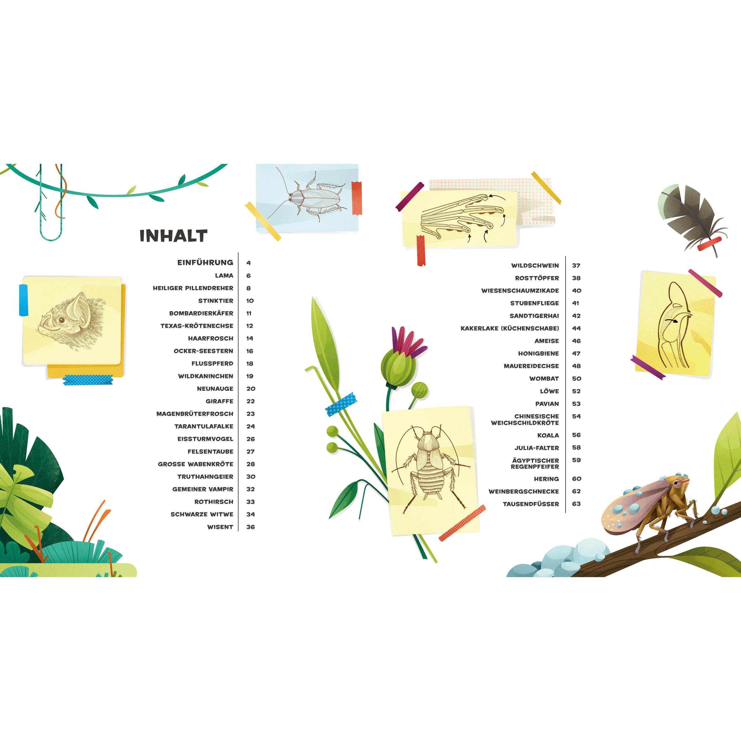 Thumbnail - Besonders und Wunderbar: Seltsame Tiere, Kinderbücher von Cristina Banfi