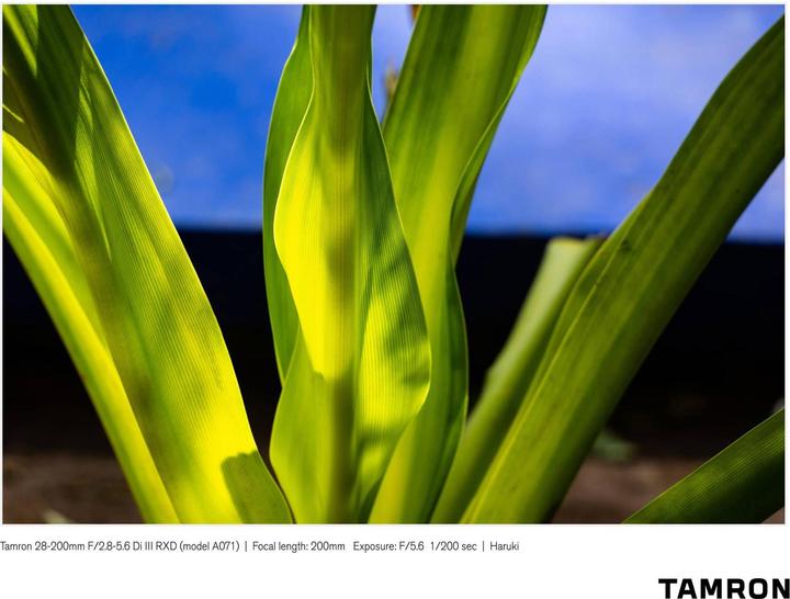 Productafbeelding Tamron AF 28-200mm f/2.8-5.6 Di III RXD, Sony E (Sony E, Volledig formaat)