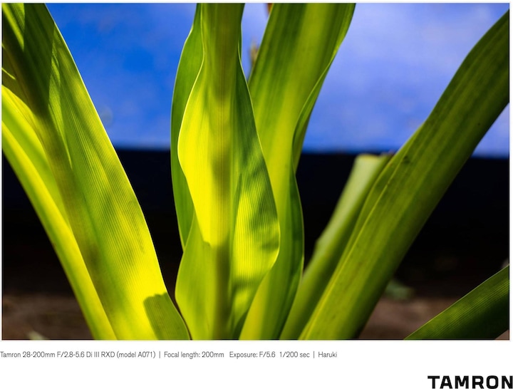 Produktbild Tamron AF 28-200mm f/2.8-5.6 Di III RXD, Sony E (Sony E, Vollformat)