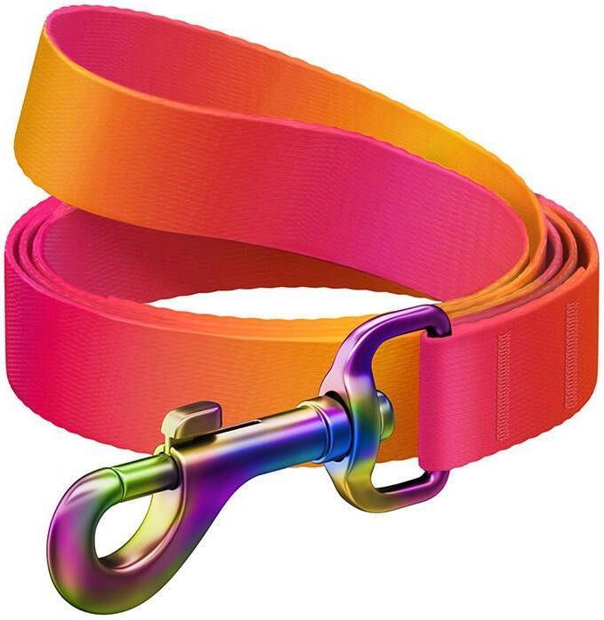 Actual product image Waudog gradient nylon dog leash, 122 cm long, orange (L, Dog, Dog sport)