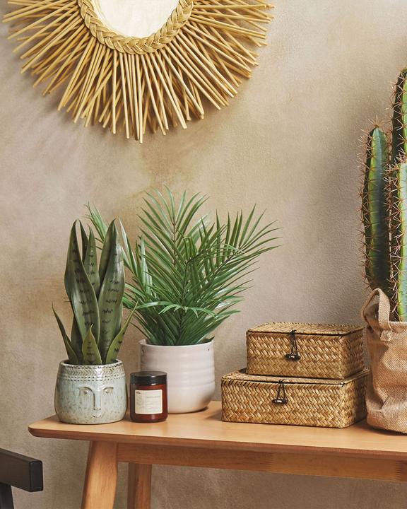 Immagine prodotto Beliani Snake Plant (40 cm)