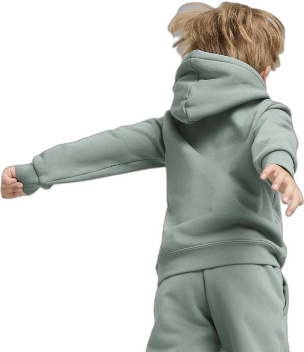 Image du produit Puma Sweat à capuche ESS No. 1 Logo FL PS (116)