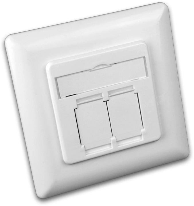 Actual product image Wirewin RJ-45 flush-mounted data socket, 2 ports