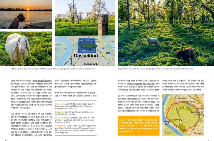Produktbild 52 kleine & grosse Eskapaden in und um Düsseldorf (Deutsch, Jessica Niedergesäss, 2021)