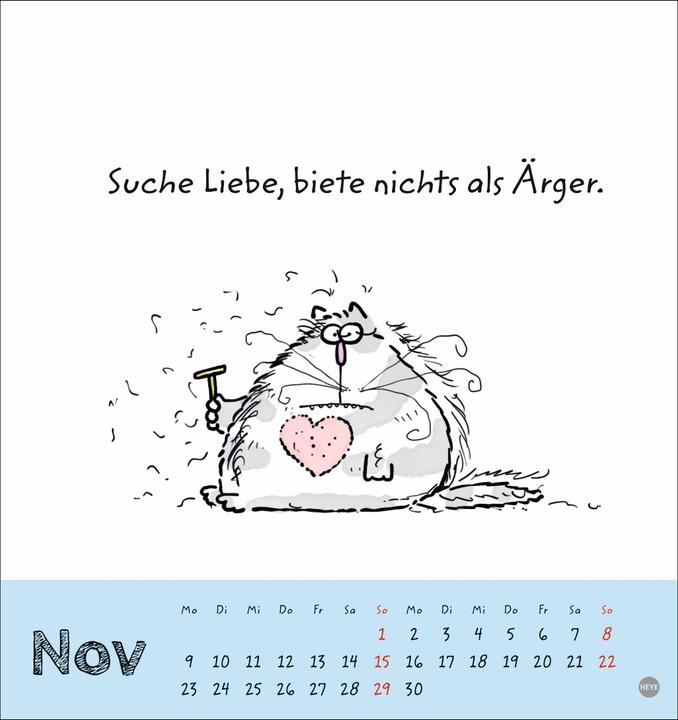 Produktbild Catzz Postkartenkalender 2026 (Postkartenformat)