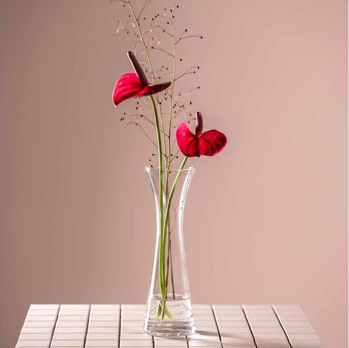 Actual product image Leonardo Vase Gia 26 cm, Transparent (1x)