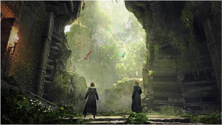 Immagine prodotto Microsoft C2C Hogwarts Legacy Xbox Serie XS CH (Xbox Series X, Xbox Serie S)