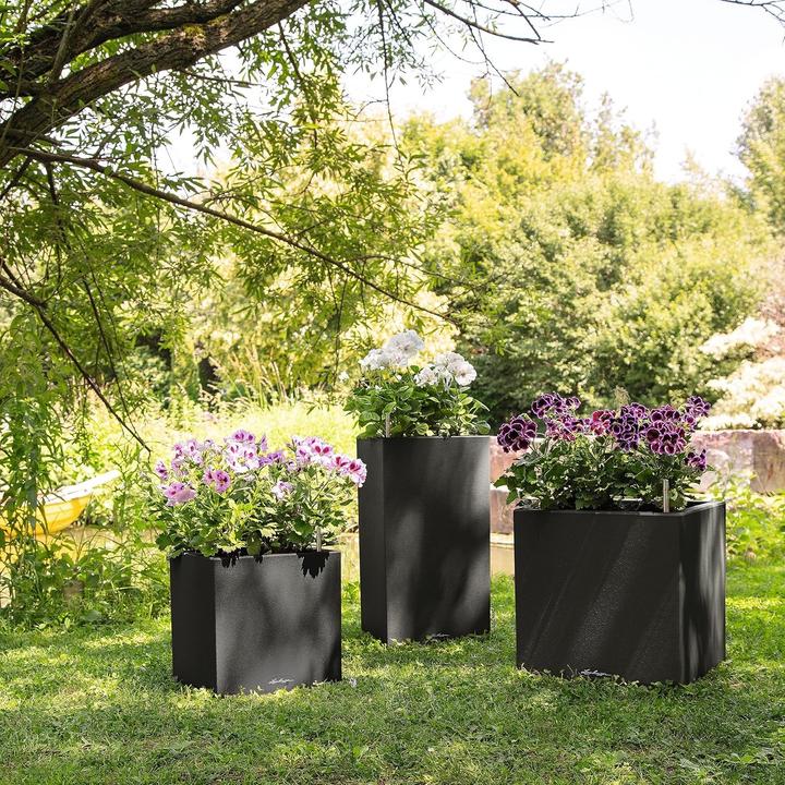 Produktbild Lechuza Canto (30 x 40 x 30 cm)