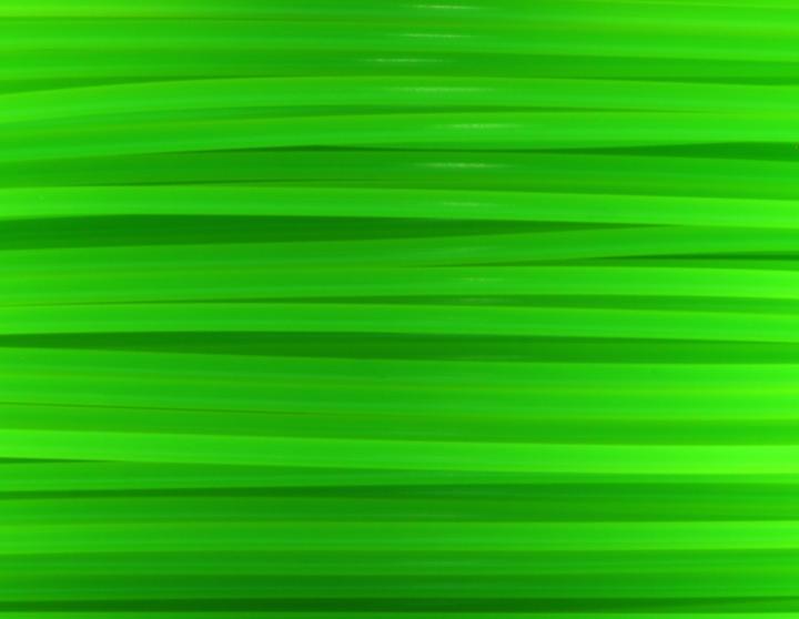 Produktbild FlashForge Filament (PLA, 1.75 mm, 1000 g, Grün)