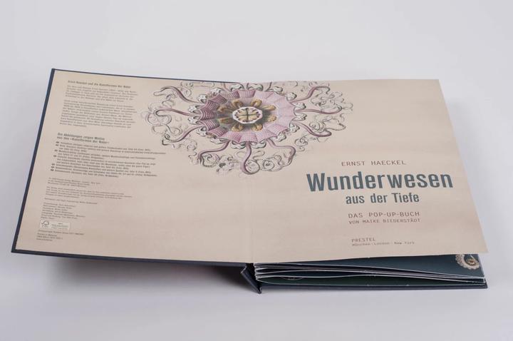 Produktbild Wunderwesen aus der Tiefe. Ernst Haeckel (Deutsch, Ernst Haeckel, 2015)