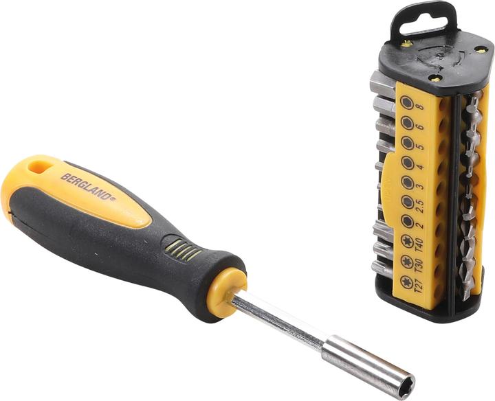 BGS Schraubendreher-Bit-Satz (Allen screw, Cross recess, External square drive, Port, T-section)