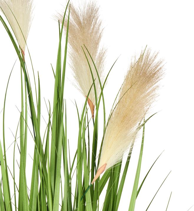 Image du produit Beliani Grass (130 cm)
