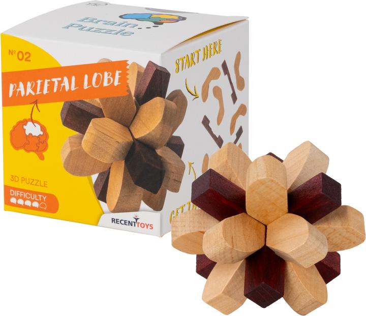 Immagine prodotto Recent Toys Puzzle del cervello n. 2 Lobo parietale (Tedesco)