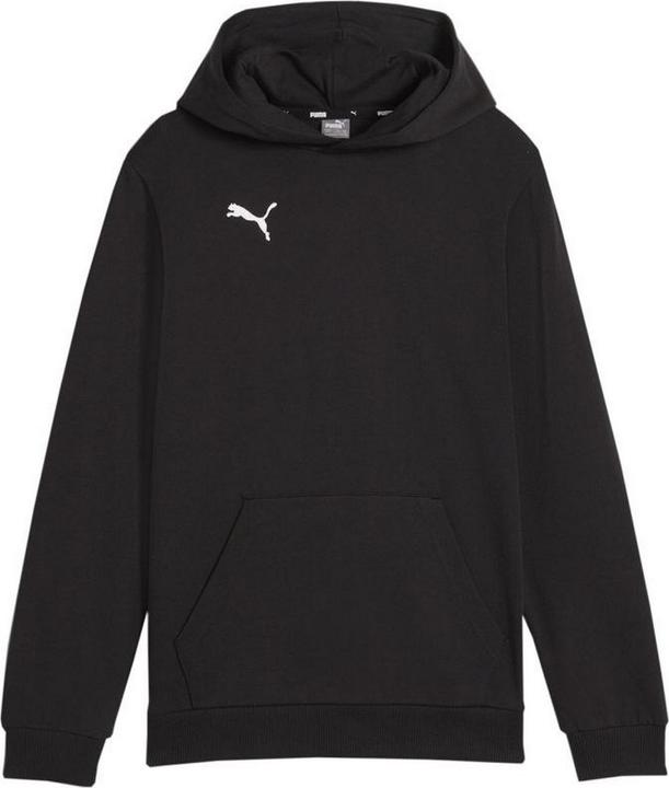 Produktbild Puma Team Goal Casuals Kapuzenpullover (128)