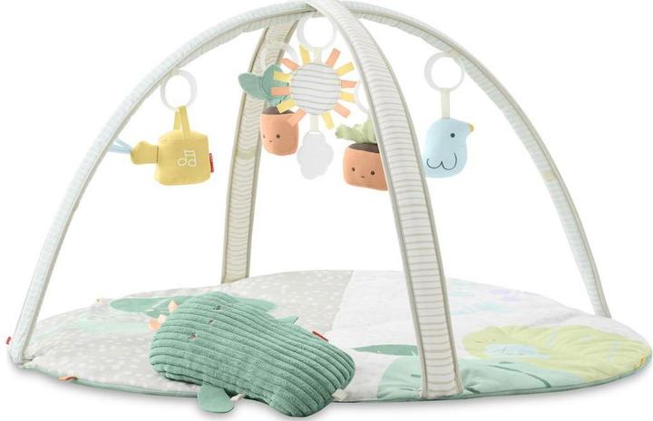 Actual product image Skiphop Garden Oasis Play Arch