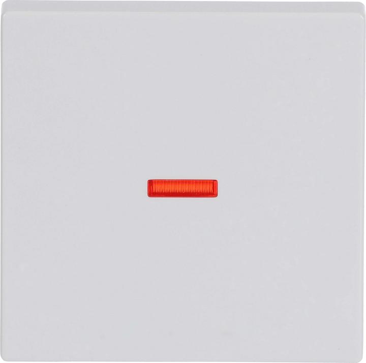 Actual product image Busch-Jaeger Control rocker