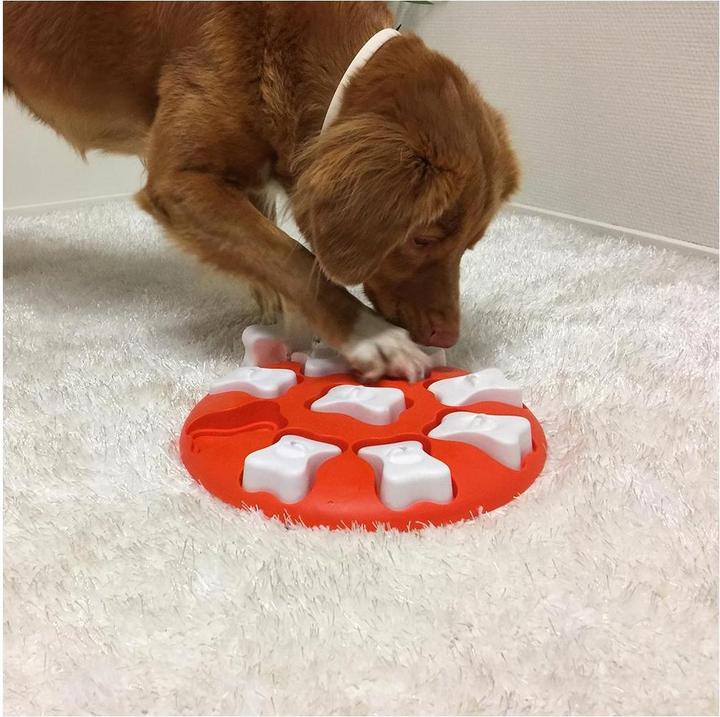 Image du produit Nina Ottosson Dog Smart (Jouet intelligent chien)