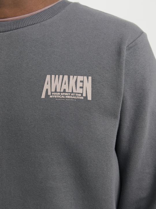 Actual product image Jack & Jones Back print sweatshirt Sweatshirt (XS)