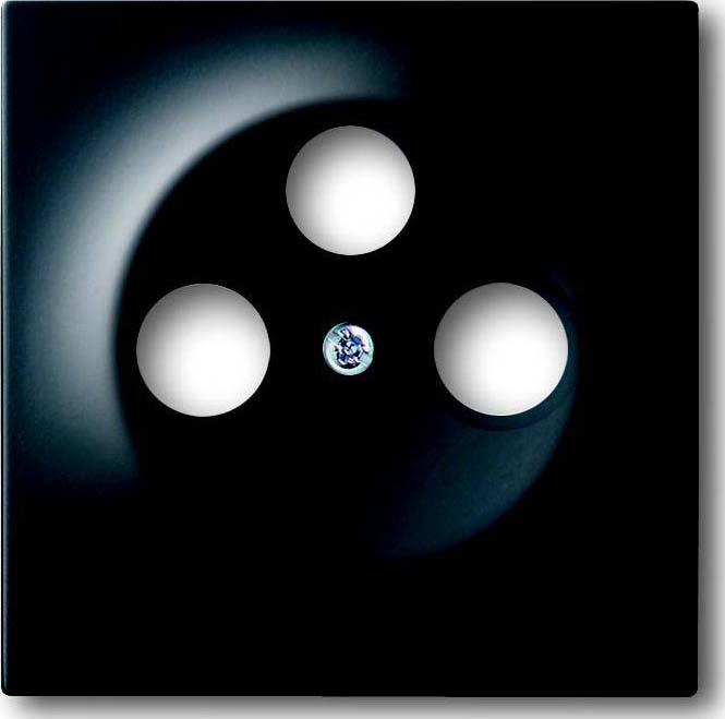 Actual product image Busch-Jaeger Central disk