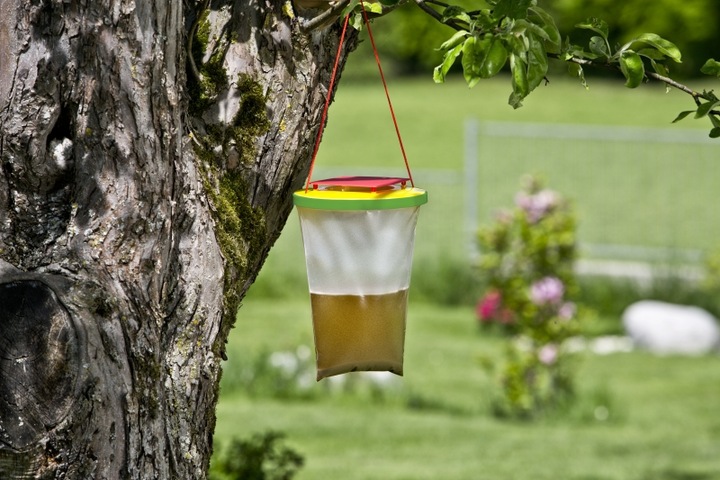Immagine prodotto Windhager Trappola per vespe e mosche