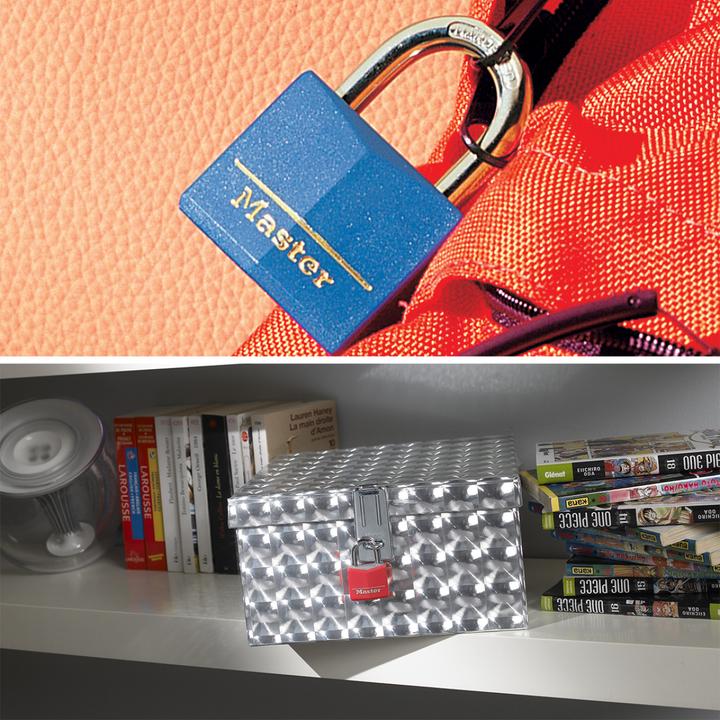 Actual product image Master Lock 9131eurdcol