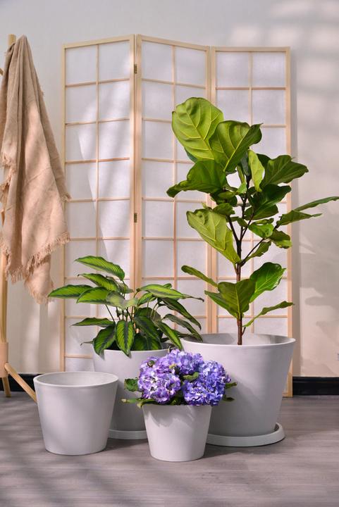 Produktbild Jaco Green Porto (31 cm)