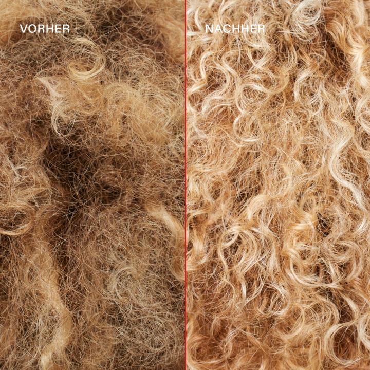 Produktbild Olaplex No. 5P (250 ml)