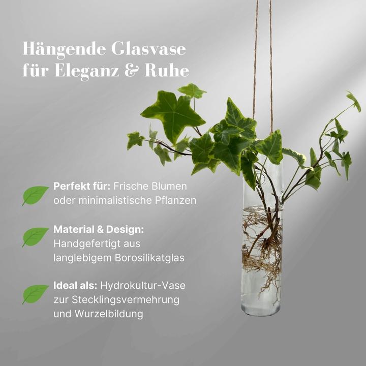 Produktbild Hermex Hängende Glasvase Zylinderform Blumenvase Vase Dekoration (1 x, 5 x 5 x 20 cm)