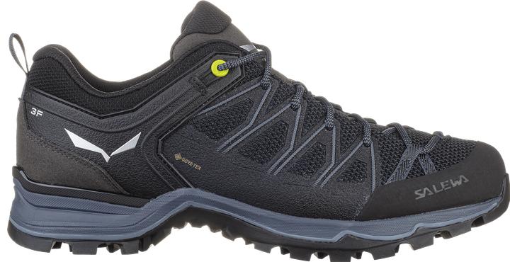 Produktbild Salewa MTN Trainer Lite GTX Schuhe (40)