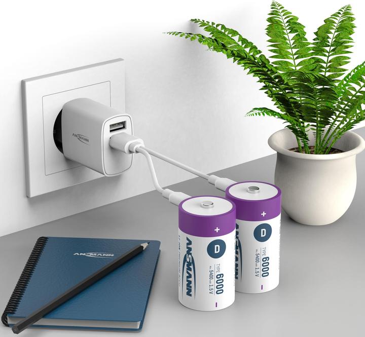 Image du produit Ansmann LR20 Pile USB-C Mono (D) Li-Ion 6000 mAh 1.5 V 2 pcs. (2 pcs, D, 6000 mAh)