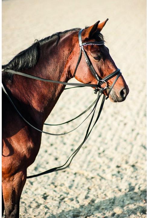 Image du produit Horse Guard Rênes de traction pour cheval