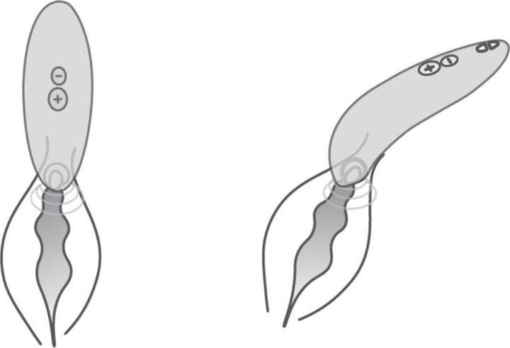 Produktbild We-Vibe Melt