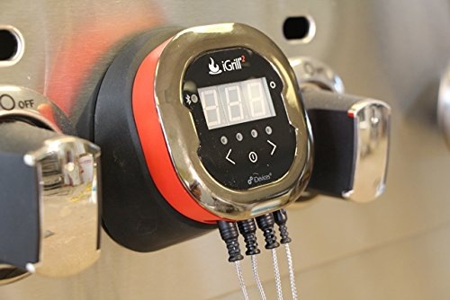 Actual product image iGrill 2