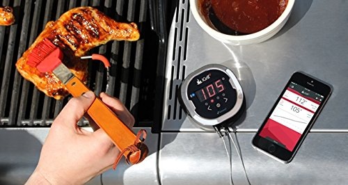 Actual product image iGrill 2