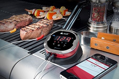 Actual product image iGrill 2