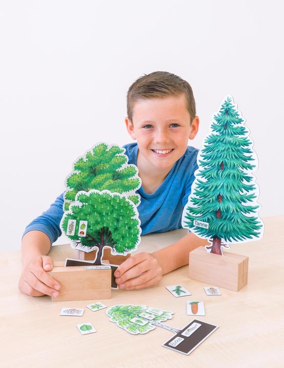 Produktbild Betzold Bäume bestimmen leicht gemacht mit Holzaufstellern (Deutsch)