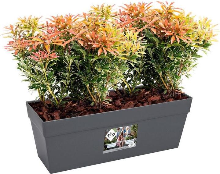 Image du produit Elho Loft urbain (17 cm)